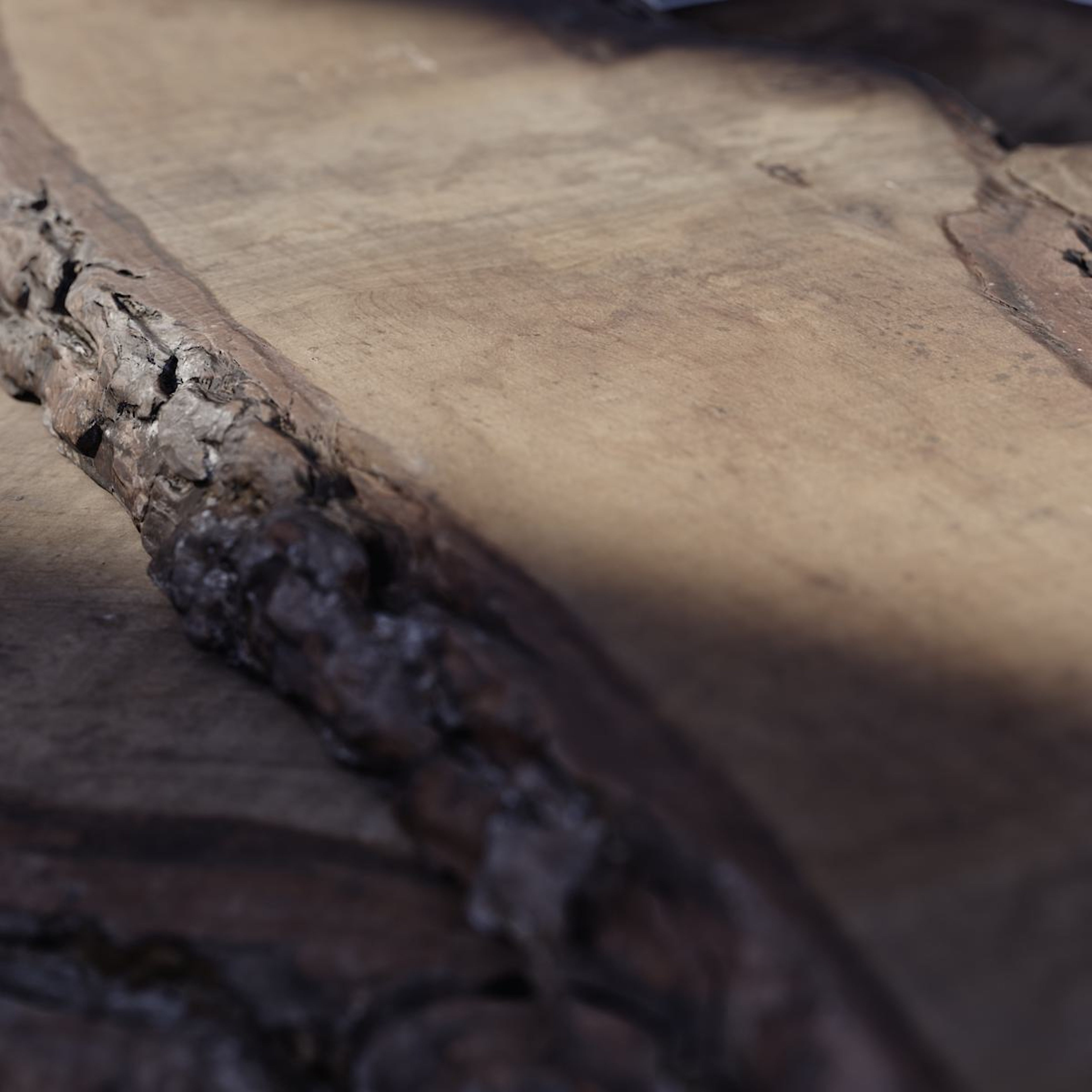 具有天然纹理图案和明显粗糙边缘的木质面特写,代表汽车内饰木材为可持续方式采购。