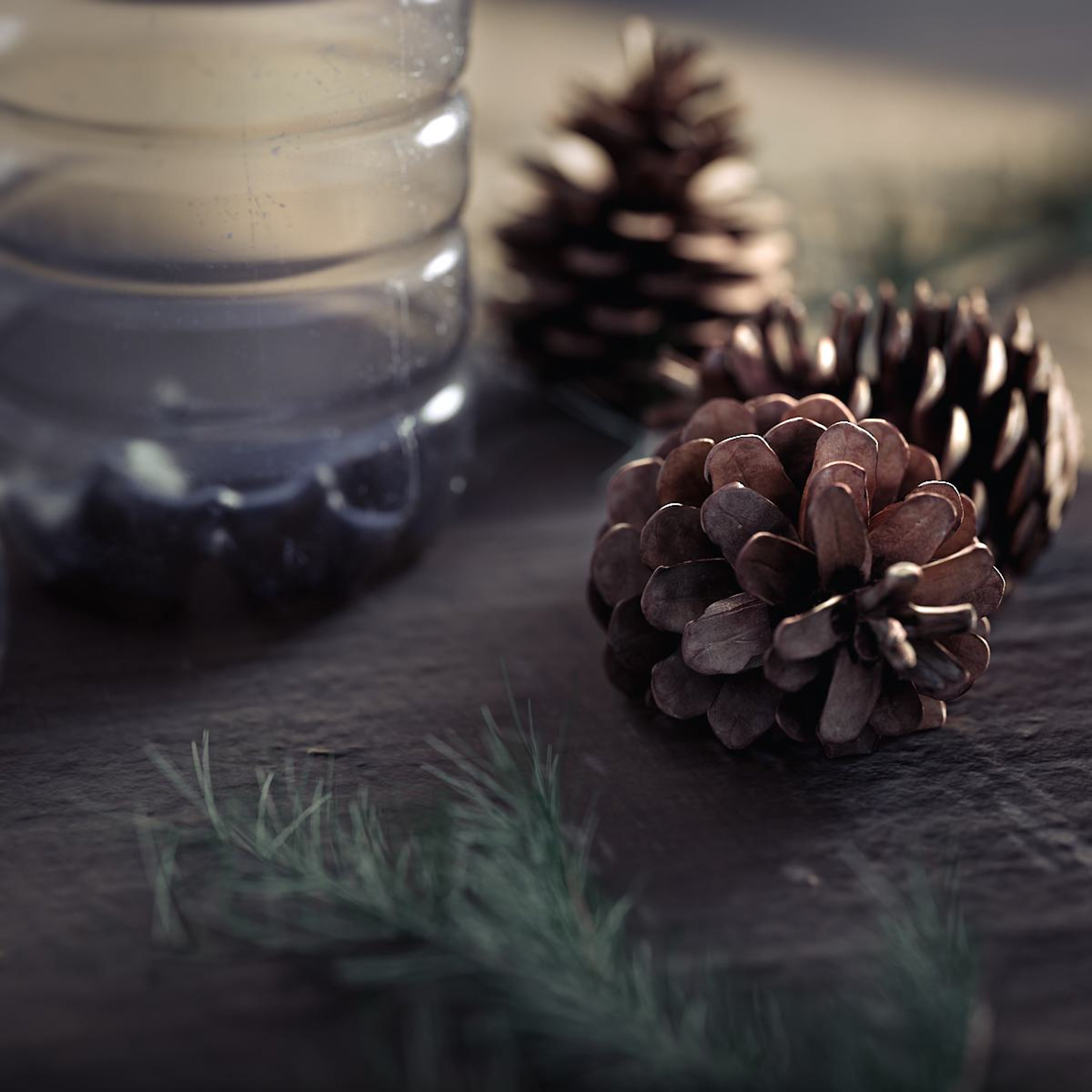 沃尔沃 Nordico® 植然皮使用的松果和塑料瓶等自然元素特写。该植然皮由回收 PET 瓶和瑞典和芬兰森林产生物材料 PVC 制成。