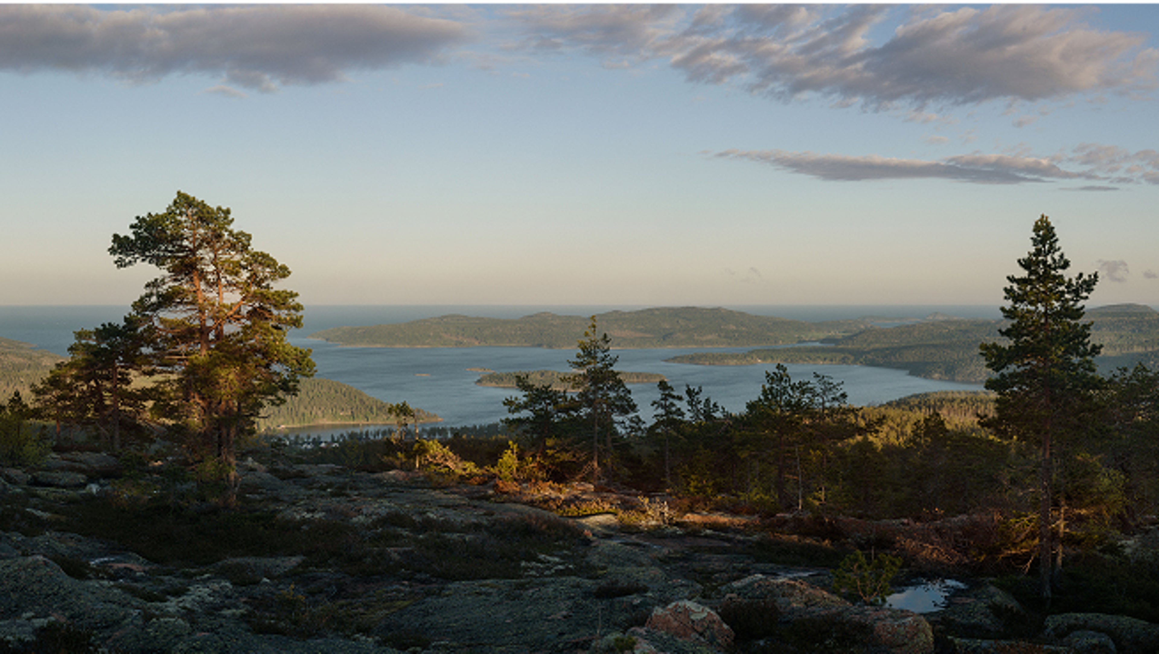 在部分多云的天空下,一条蜿蜒的道路穿过茂密的绿色森林,而一辆沃尔沃纯电系列汽车在路上行驶。
